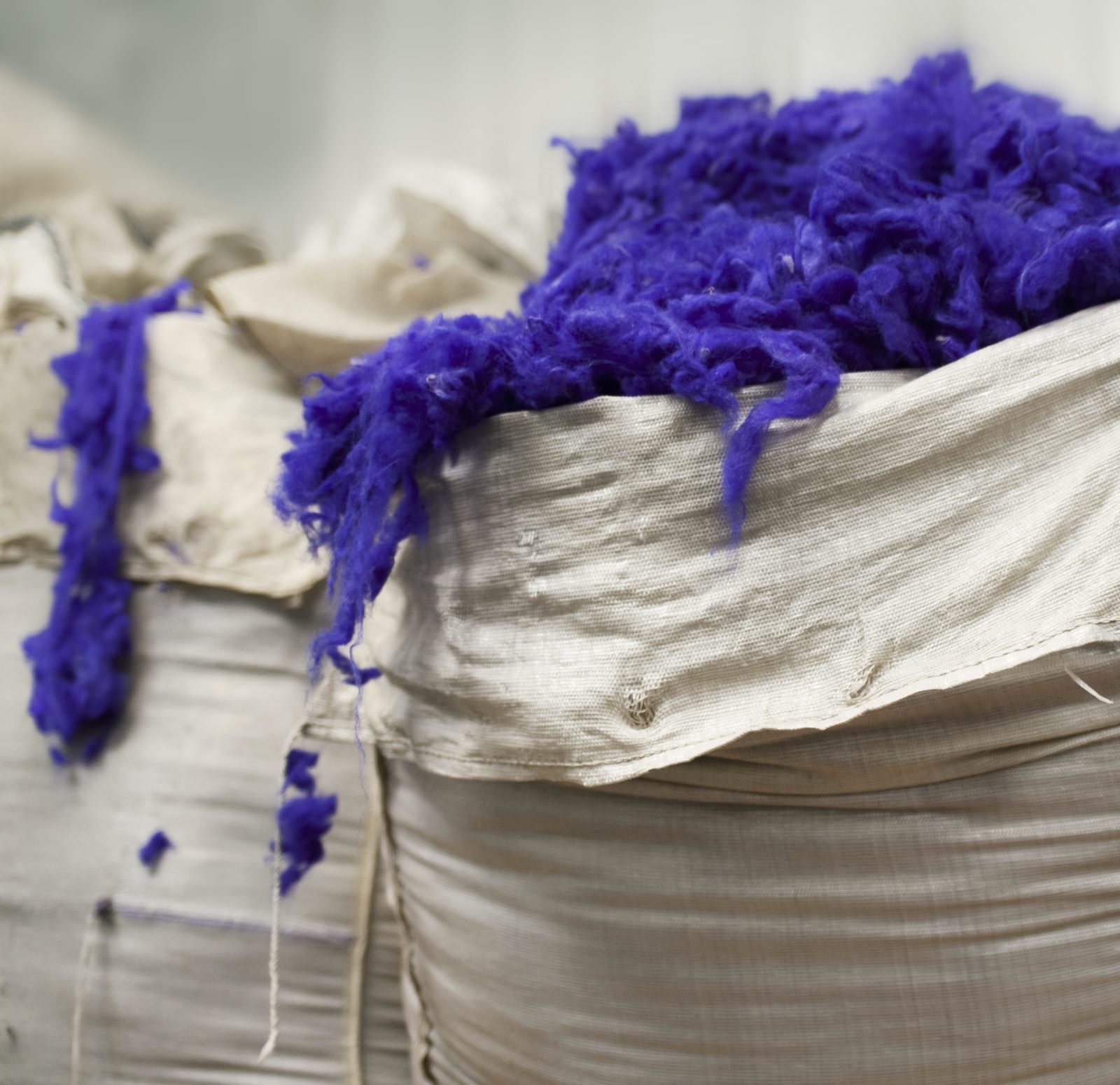 Violet wool in the bale