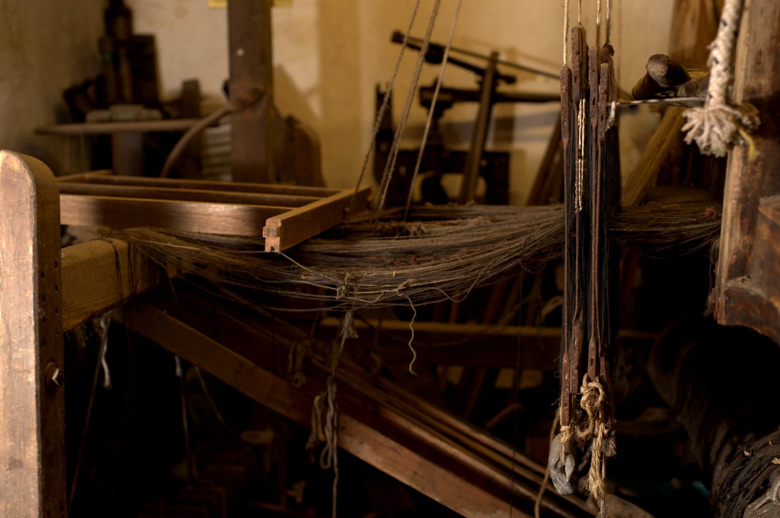 Warp threads in the old loom shed