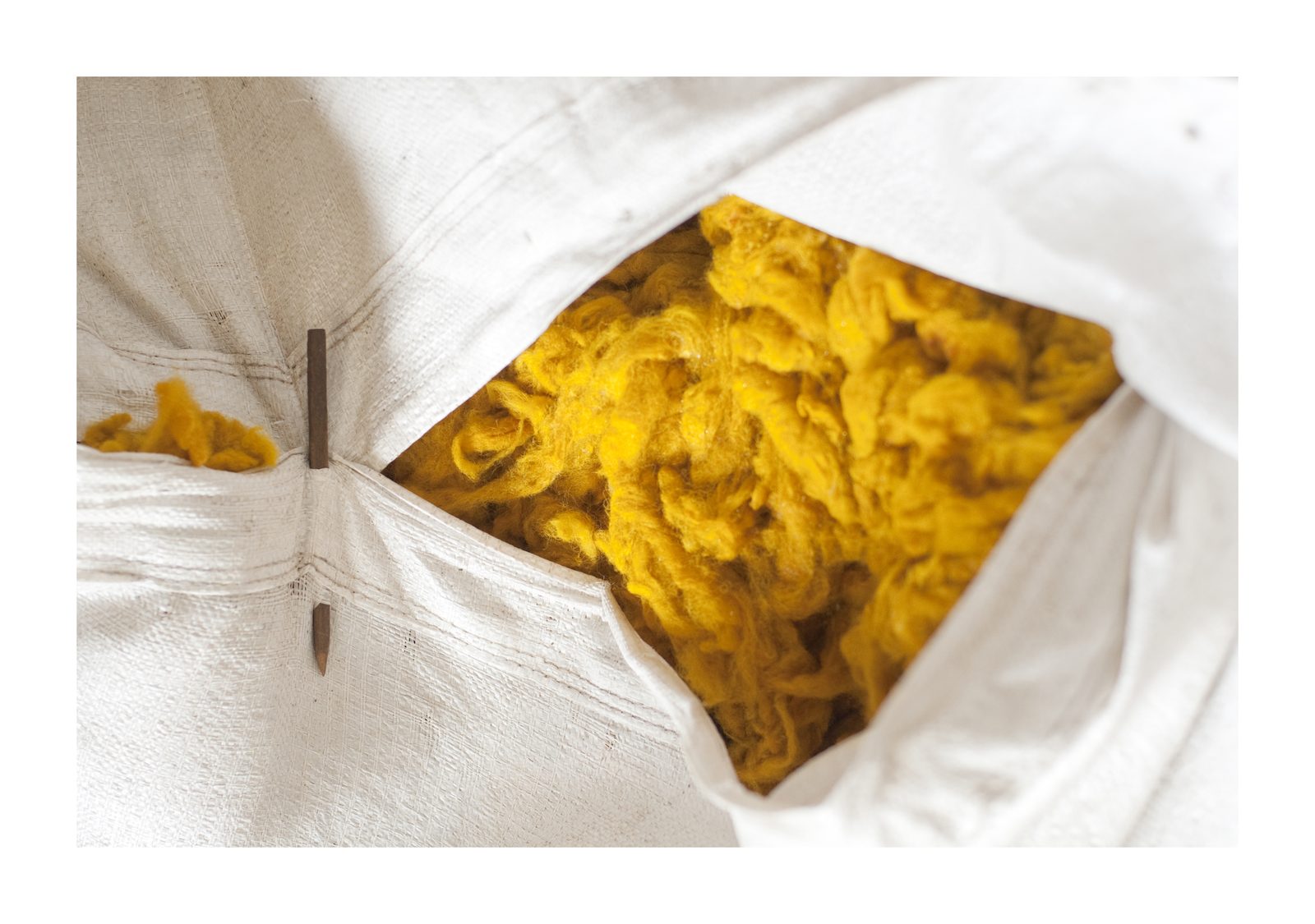 Yellow wool in the bale
