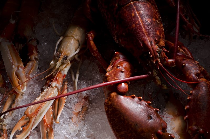 Langoustine and lobster