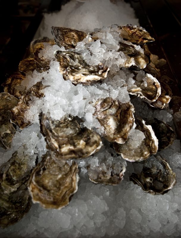 Oysters piled on ice