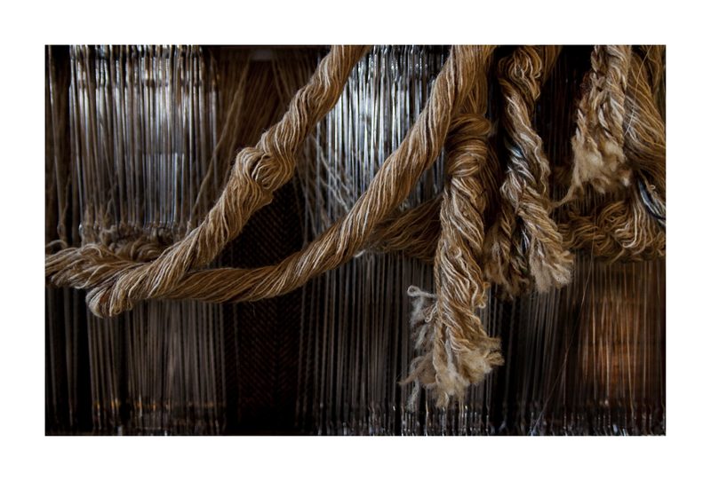 Warp and weft