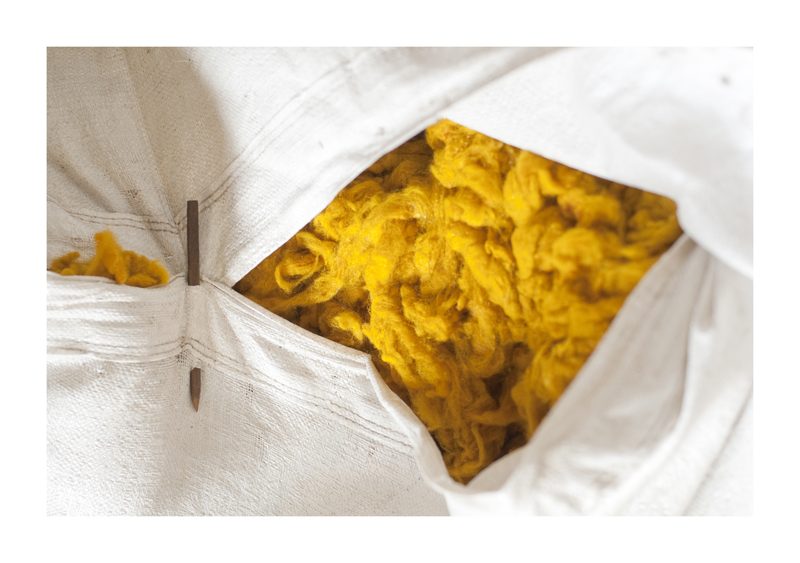 Yellow wool in the bale