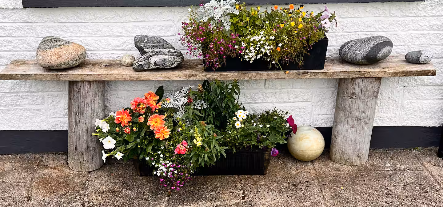 Flowers in the cottage garden